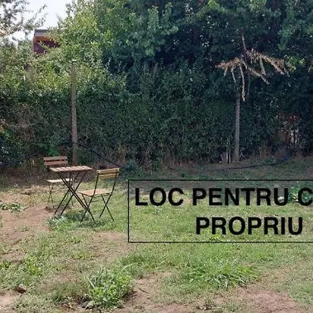 Pura Vida Campingplatz Vama Veche