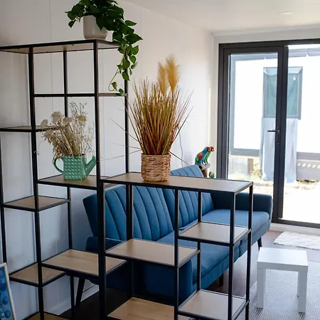 Kemping Pura Vida Vama Veche