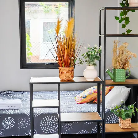 Pura Vida * Vama Veche