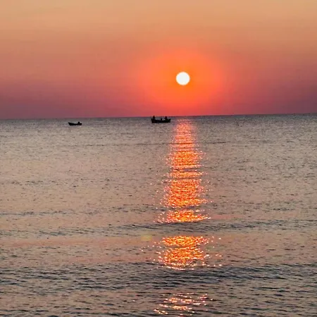 Pura Vida * Vama Veche