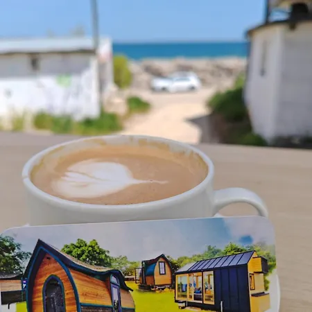 Pura Vida * Vama Veche