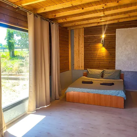 Kemping Pura Vida Vama Veche