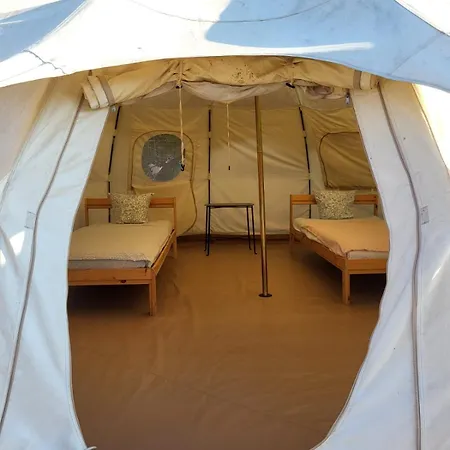 Pura Vida * Vama Veche