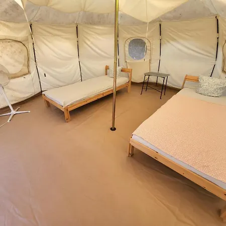 Pura Vida * Vama Veche