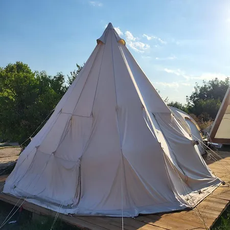 Pura Vida * Vama Veche