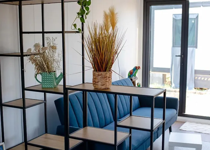 Kemping Pura Vida Vama Veche