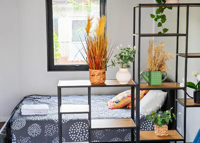 Pura Vida * Vama Veche