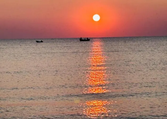 Pura Vida * Vama Veche