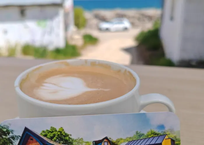 Pura Vida * Vama Veche