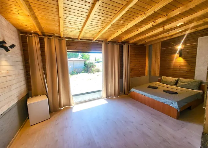 Pura Vida * Vama Veche