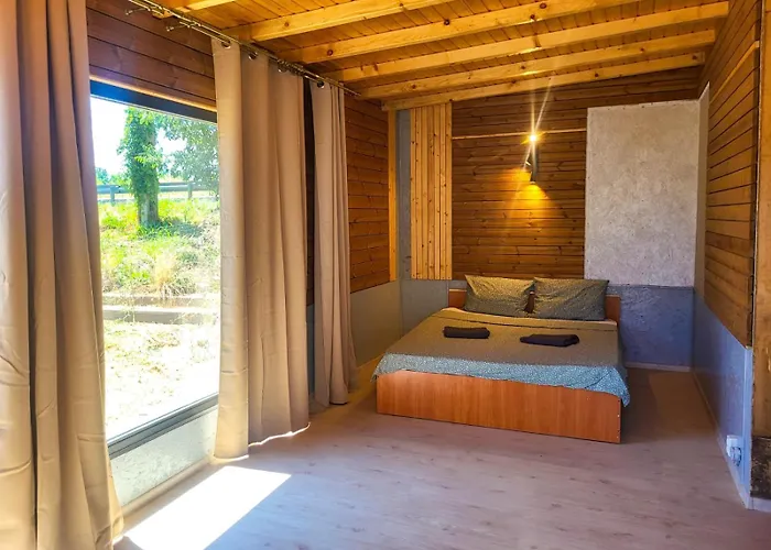 Kemping Pura Vida Vama Veche