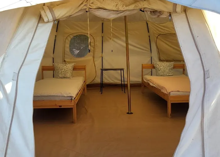 Pura Vida * Vama Veche