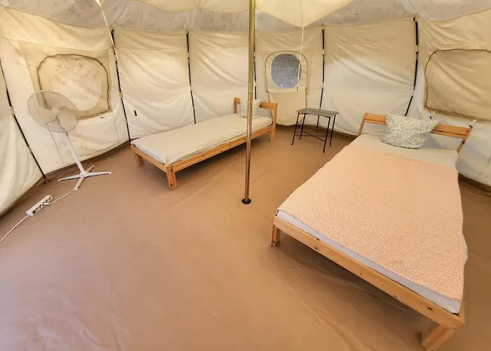 Pura Vida * Vama Veche