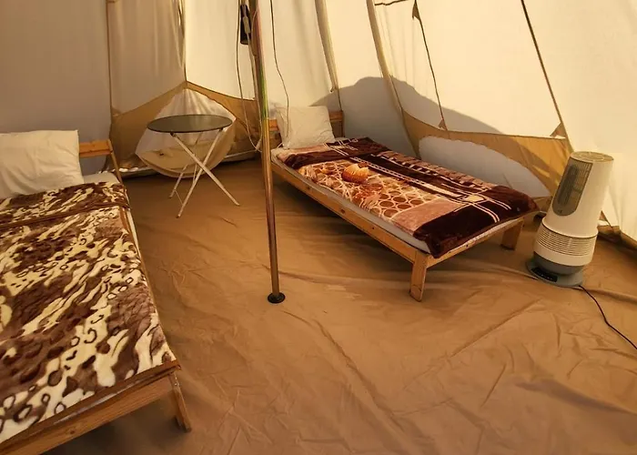 Pura Vida Vama Veche