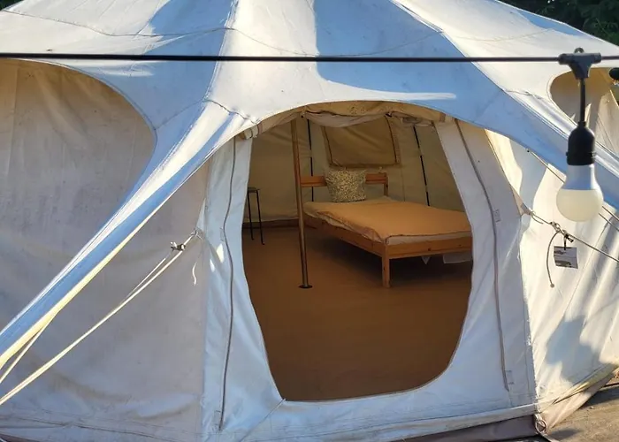 Pura Vida Vama Veche